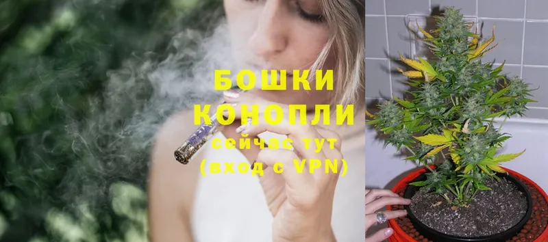 Канабис OG Kush  Алзамай 